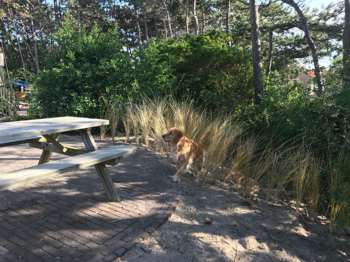 De Getijden Bed & Breakfast Vlieland